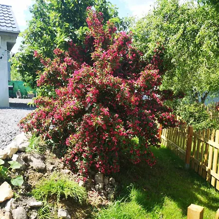 Vakantieboerderij U Kozdryka