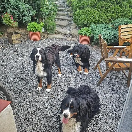 Vakantieboerderij U Kozdryka Leśna