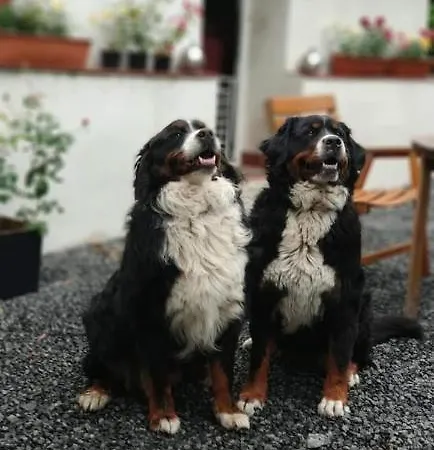 Vakantieboerderij U Kozdryka Leśna
