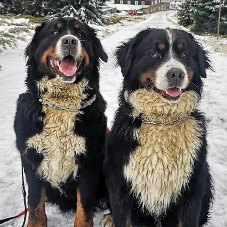 Alloggio per agriturismo U Kozdryka