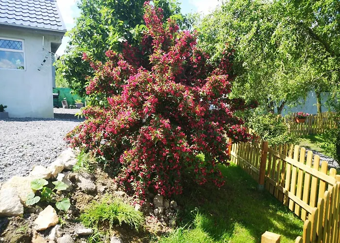 Фермерский дом U Kozdryka