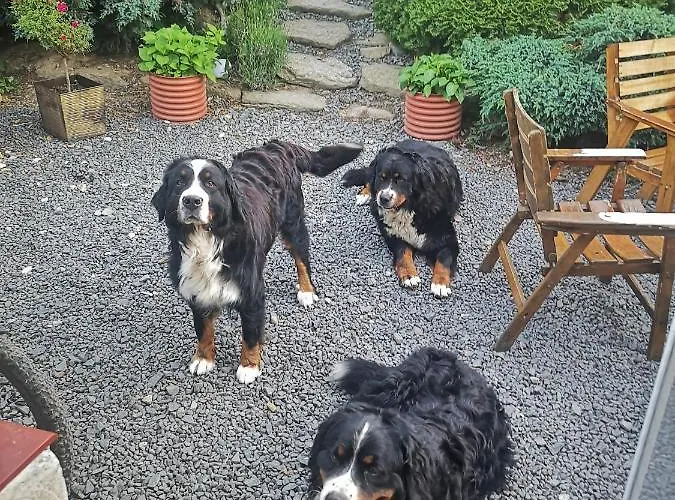 Фермерский дом U Kozdryka Лесьна