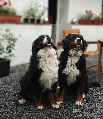 Фермерский дом U Kozdryka Лесьна