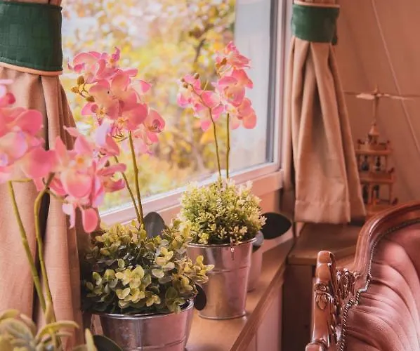 Фермерский дом U Kozdryka *