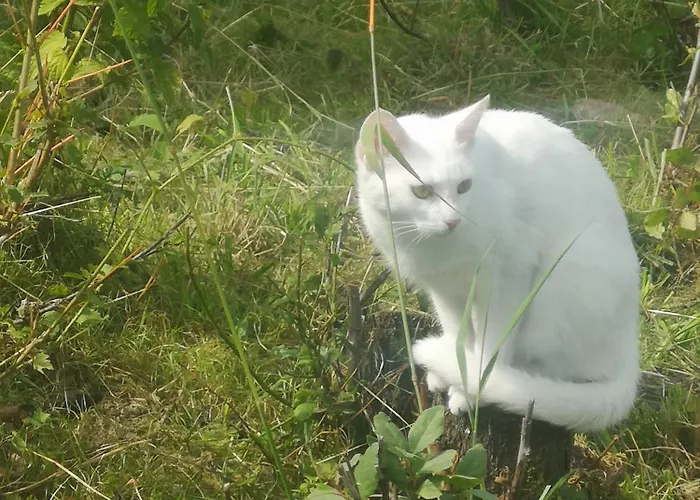 U Kozdryka Фермерский дом *