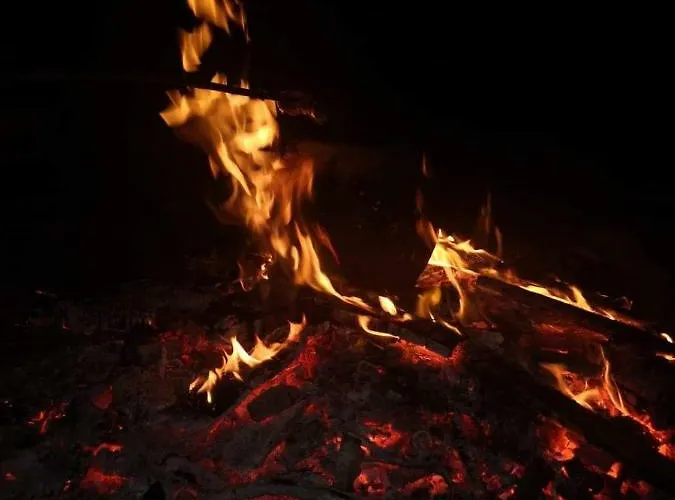 U Kozdryka Фермерский дом Лесьна